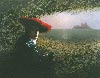 Fille au berêt rouge